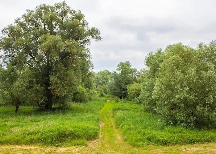 Apartment Alandblick