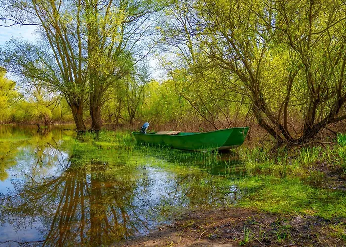 Alandblick Apartment *